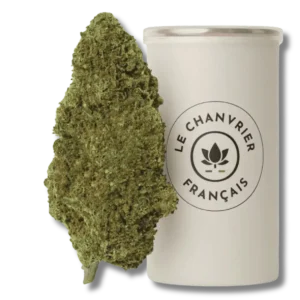 CBD Variété CHEESE Réunion Saint Denis 974