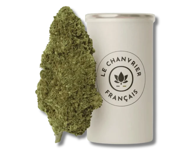 CBD Variété CHEESE Réunion Saint Denis 974