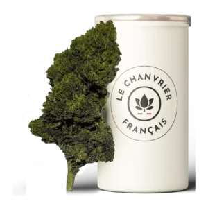 Amnesia CBD Fleur de CBD - Le Chanvrier Français Réunion