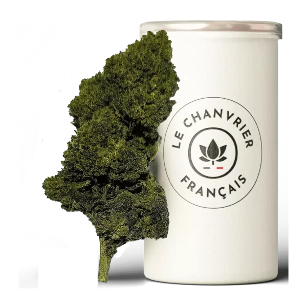 Amnesia CBD Fleur de CBD - Le Chanvrier Français Réunion