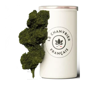 Gelato CBN - CBD à la Réunion - Le Chanvrier Français