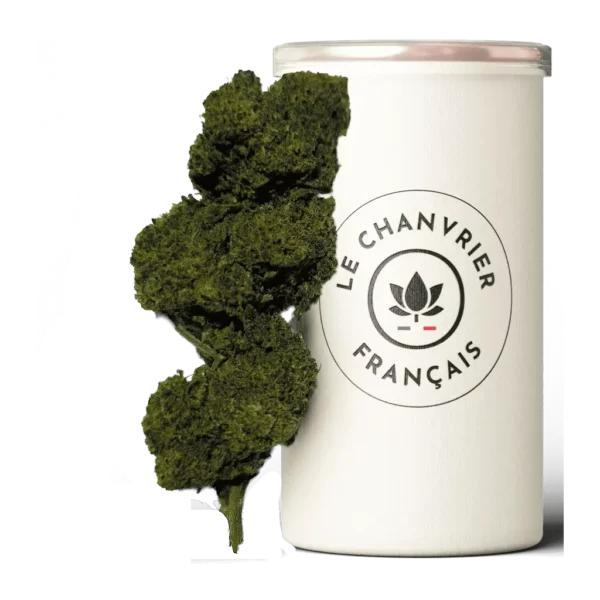 Gelato CBN - CBD à la Réunion - Le Chanvrier Français