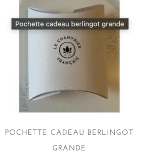 Pochette Berlingot